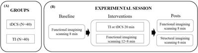 Syncing the brain’s networks: dynamic functional connectivity shifts from temporal interference